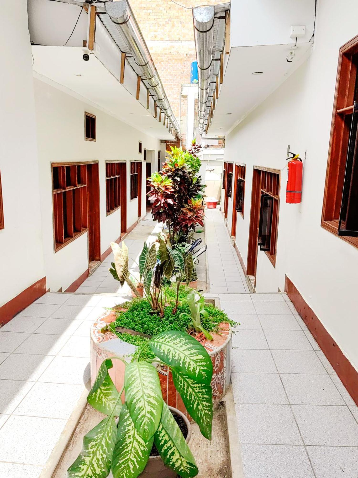 Tengana Hospedaje Y Tours Tarapoto Exterior photo